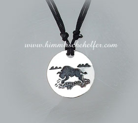 bison_krafttier_schmuck.jpg